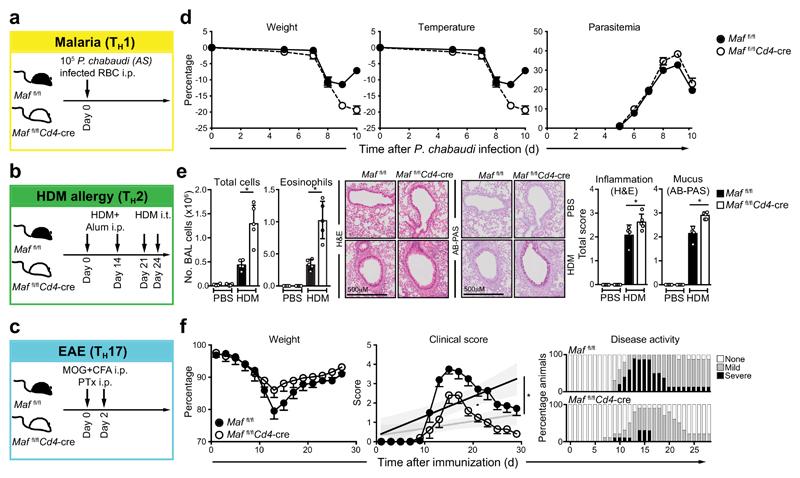 https://cdn.ncbi.nlm.nih.gov/pmc/blobs/332f/5988041/0ea447db225d/emss-76560-f002.jpg