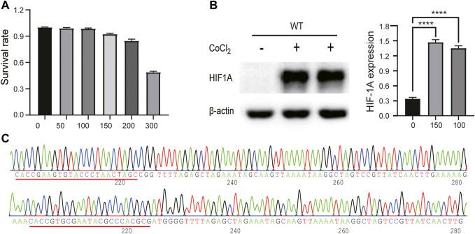 https://cdn.ncbi.nlm.nih.gov/pmc/blobs/332f/9237512/e7ed699eec6b/fgene-13-857507-g001.jpg