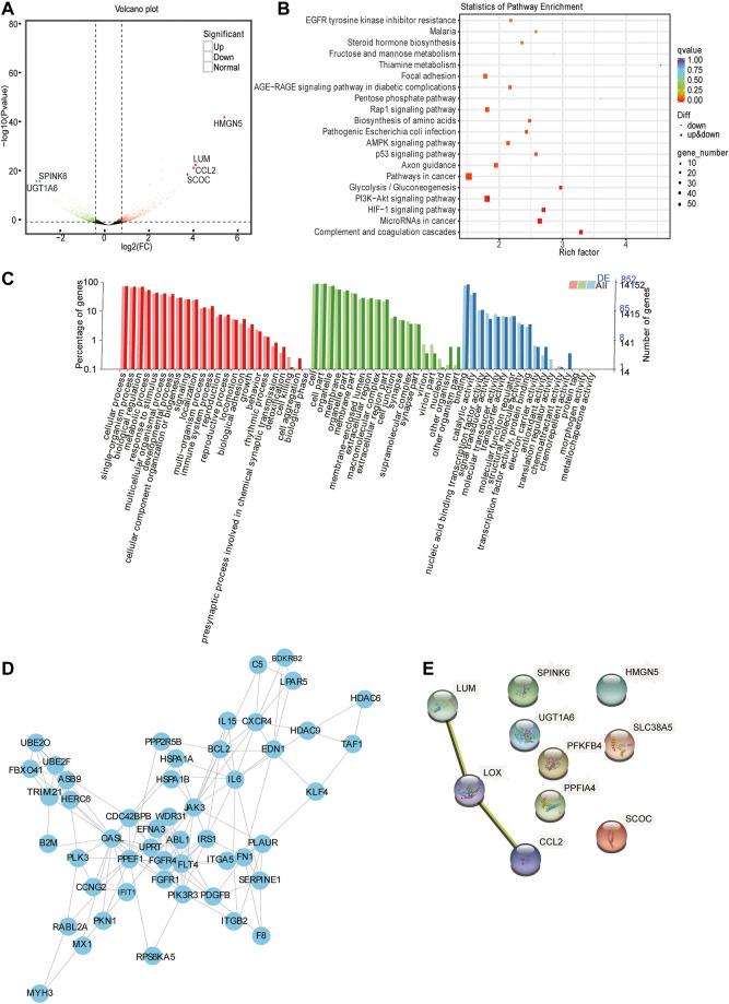 https://cdn.ncbi.nlm.nih.gov/pmc/blobs/332f/9237512/eb2a427544b3/fgene-13-857507-g003.jpg