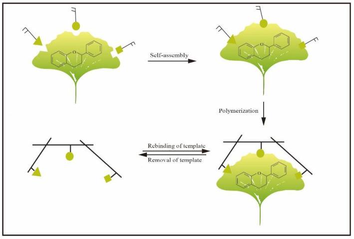 https://cdn.ncbi.nlm.nih.gov/pmc/blobs/332f/9653670/9def8e5955fb/molecules-27-07355-g002.jpg