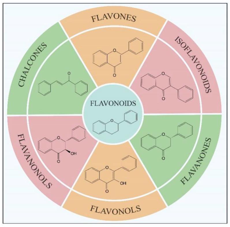 https://cdn.ncbi.nlm.nih.gov/pmc/blobs/332f/9653670/ea214355a9a3/molecules-27-07355-g001.jpg