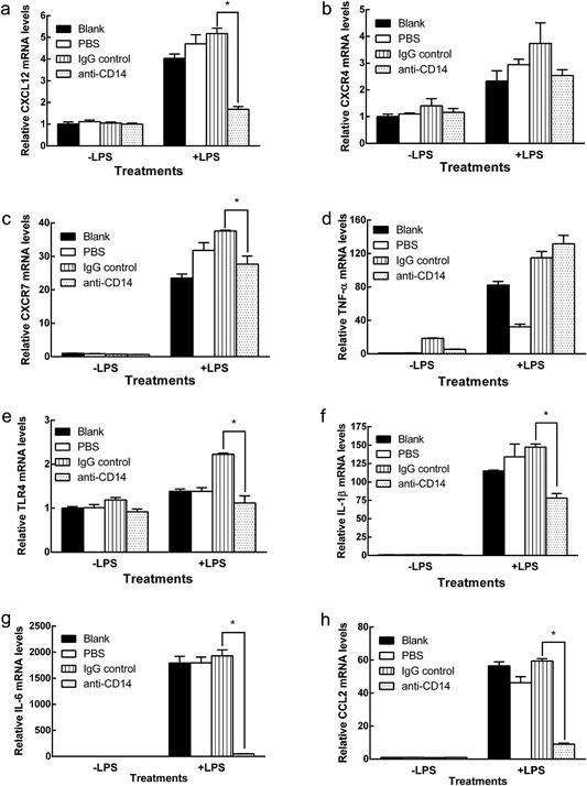 https://cdn.ncbi.nlm.nih.gov/pmc/blobs/3331/5818454/c778d238d996/IID3-6-106-g003.jpg