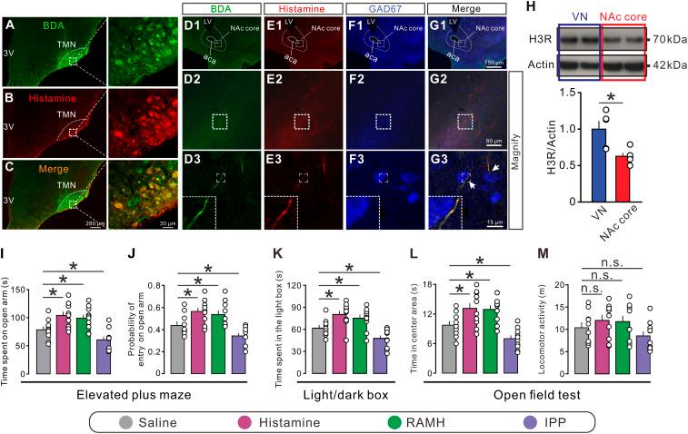 https://cdn.ncbi.nlm.nih.gov/pmc/blobs/3332/7749329/d098933fae10/pnas.2008456117fig01.jpg