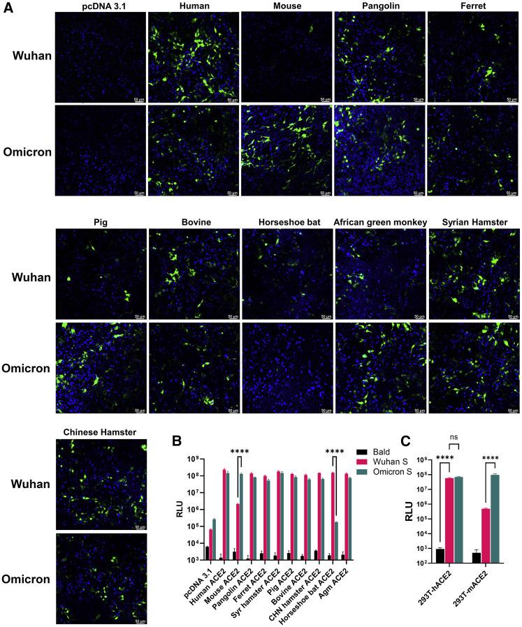 https://cdn.ncbi.nlm.nih.gov/pmc/blobs/3332/9420700/92f5a44f3820/gr1_lrg.jpg