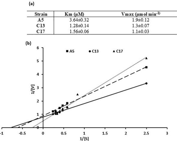 https://cdn.ncbi.nlm.nih.gov/pmc/blobs/3333/12350579/6b0319113d72/10532_2025_10171_Fig8_HTML.jpg