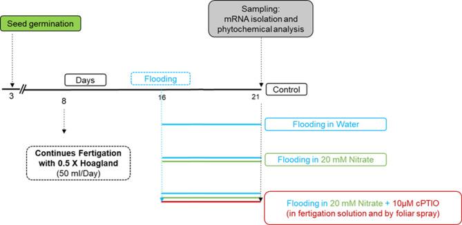 https://cdn.ncbi.nlm.nih.gov/pmc/blobs/3335/12045955/02772cd44b9c/41598_2025_321_Fig1_HTML.jpg