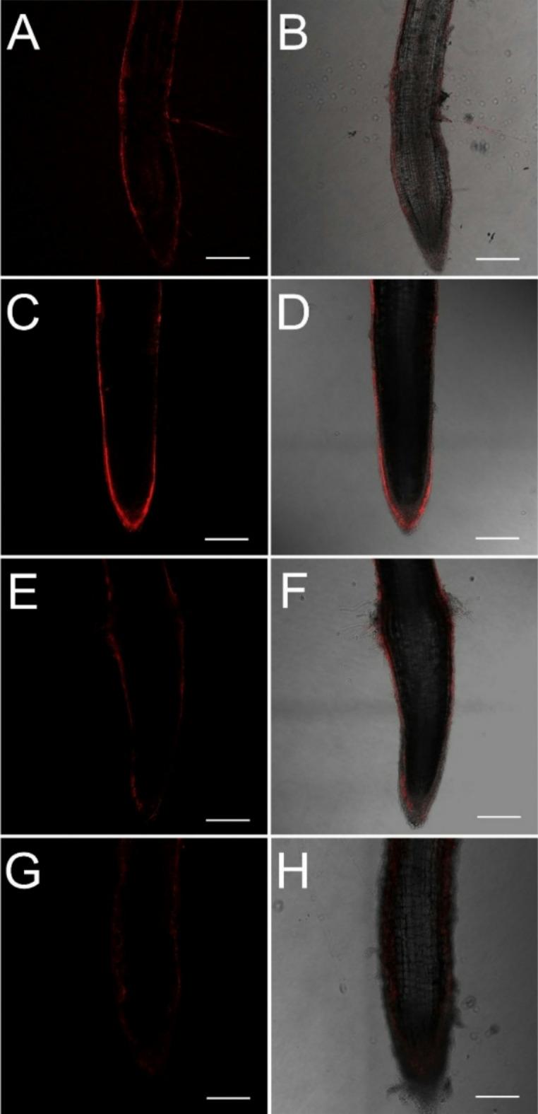https://cdn.ncbi.nlm.nih.gov/pmc/blobs/3335/12045955/c8965a0c9668/41598_2025_321_Fig9_HTML.jpg