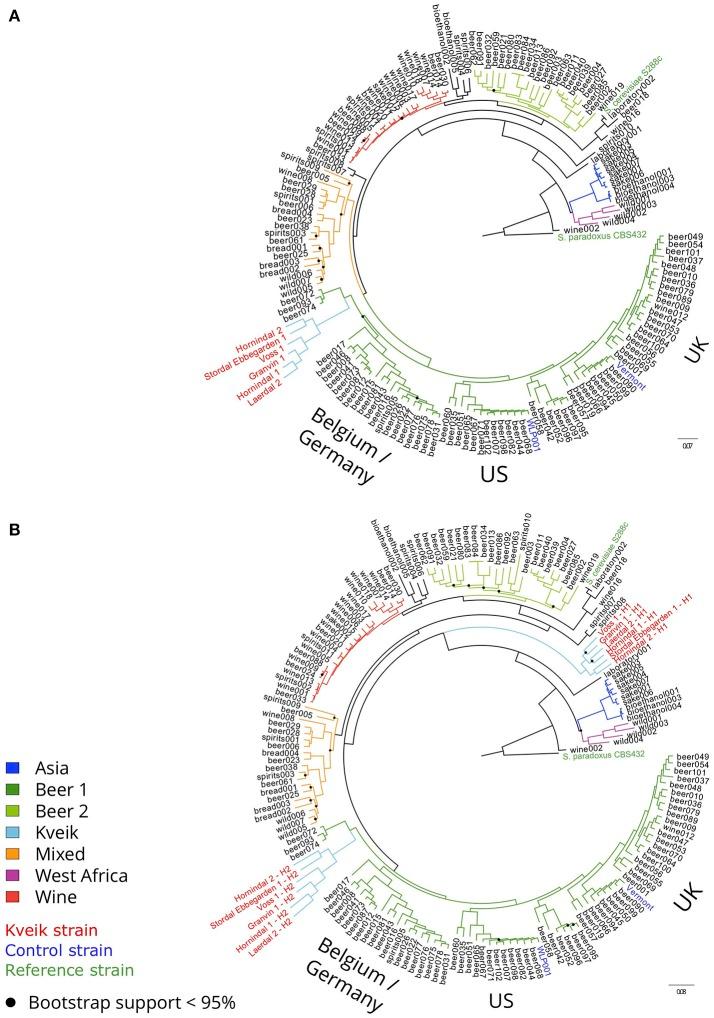 https://cdn.ncbi.nlm.nih.gov/pmc/blobs/3335/6145013/bd38a08f4f57/fmicb-09-02137-g0002.jpg