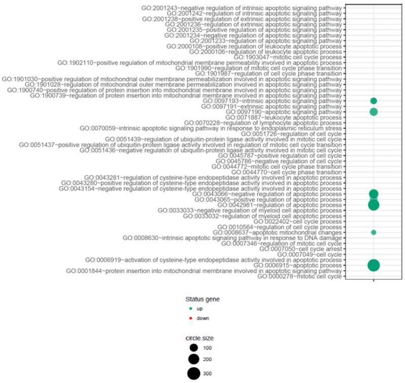 https://cdn.ncbi.nlm.nih.gov/pmc/blobs/3335/9779045/30ba870f110b/ijms-23-15794-g005.jpg