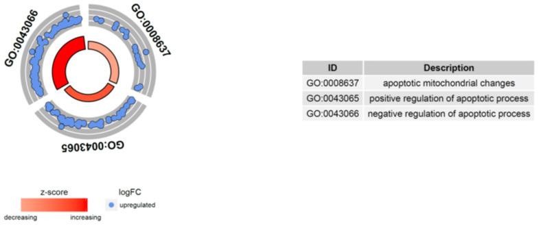 https://cdn.ncbi.nlm.nih.gov/pmc/blobs/3335/9779045/ada4a8c55908/ijms-23-15794-g009.jpg