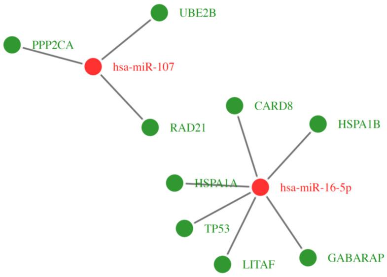 https://cdn.ncbi.nlm.nih.gov/pmc/blobs/3335/9779045/f7267ab74985/ijms-23-15794-g012.jpg