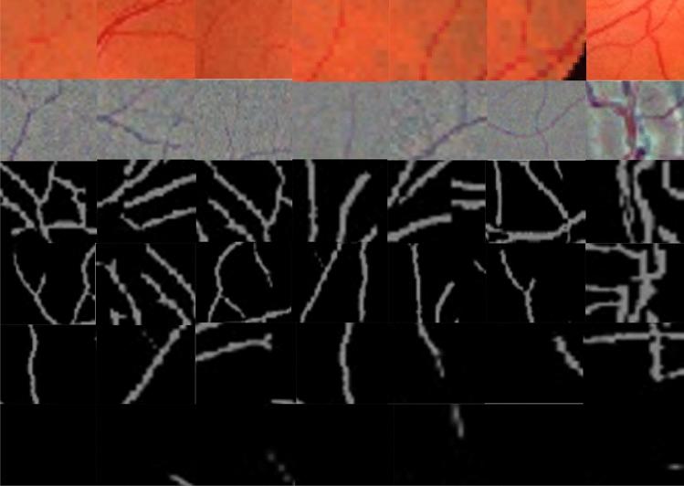 https://cdn.ncbi.nlm.nih.gov/pmc/blobs/3336/12241457/9b8fefee10f6/41598_2025_9394_Fig6_HTML.jpg