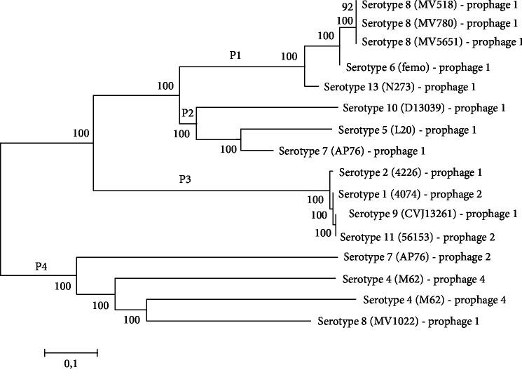 https://cdn.ncbi.nlm.nih.gov/pmc/blobs/3336/7049842/d20c28c4fa66/IJG2020-9354204.004.jpg