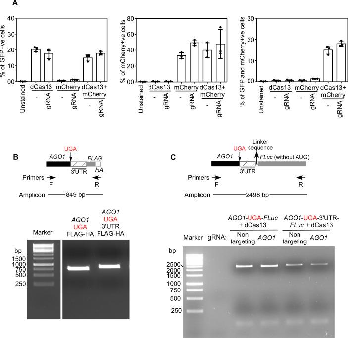 https://cdn.ncbi.nlm.nih.gov/pmc/blobs/3337/11015002/5b8d0a9aaca2/44319_2024_115_Fig8_ESM.jpg