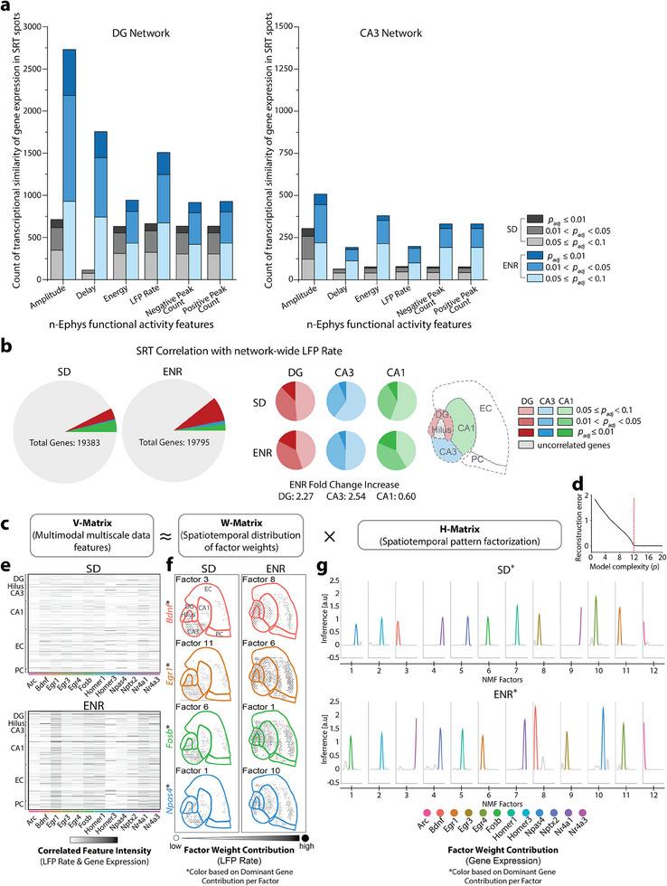 https://cdn.ncbi.nlm.nih.gov/pmc/blobs/3339/12120740/815da5e34b50/ADVS-12-2412373-g003.jpg
