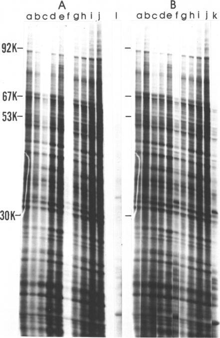 https://cdn.ncbi.nlm.nih.gov/pmc/blobs/3339/324198/0289195224cc/nar00434-0107-a.jpg