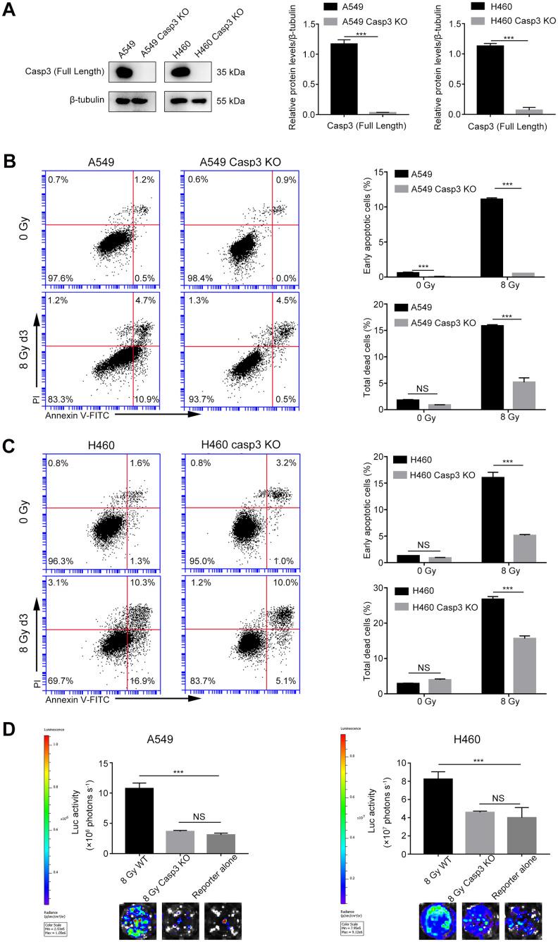 https://cdn.ncbi.nlm.nih.gov/pmc/blobs/3339/7695367/6e689ab18bf8/aging-12-103984-g002.jpg