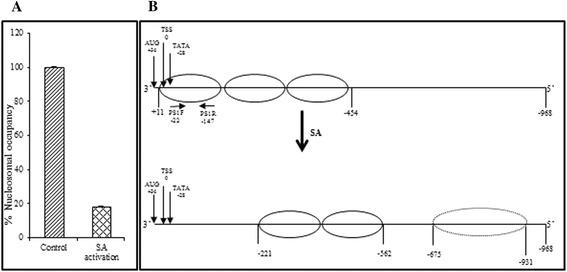 https://cdn.ncbi.nlm.nih.gov/pmc/blobs/333c/4318435/e35371c0414d/12870_2014_404_Fig5_HTML.jpg