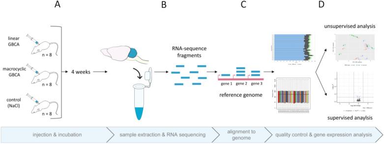 https://cdn.ncbi.nlm.nih.gov/pmc/blobs/333e/10133442/e139513b4243/41598_2023_33066_Fig1_HTML.jpg