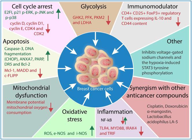 https://cdn.ncbi.nlm.nih.gov/pmc/blobs/333f/9127854/a0a6d4a502d4/10.1177_15347354221096868-fig3.jpg