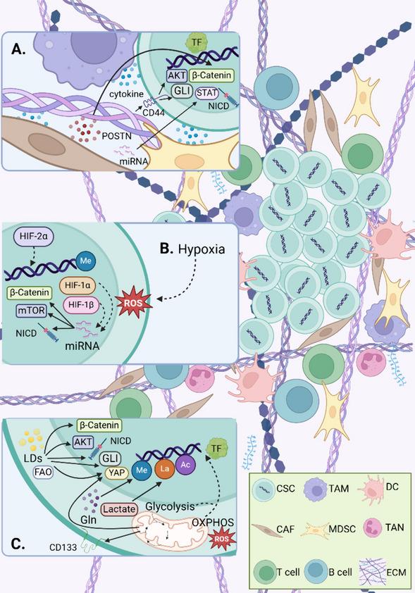 https://cdn.ncbi.nlm.nih.gov/pmc/blobs/3340/10986082/93df4be6cf00/13046_2024_3021_Fig2_HTML.jpg