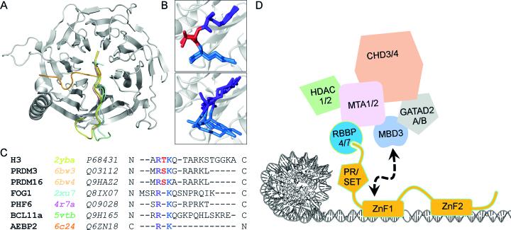 https://cdn.ncbi.nlm.nih.gov/pmc/blobs/3340/6379669/07ee69a11f6c/gky1192fig7.jpg