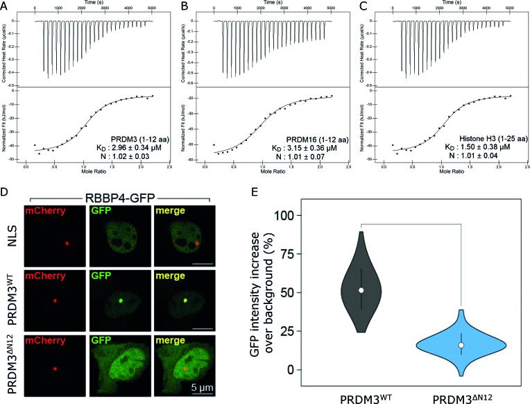 https://cdn.ncbi.nlm.nih.gov/pmc/blobs/3340/6379669/8f2d8726f58b/gky1192fig4.jpg