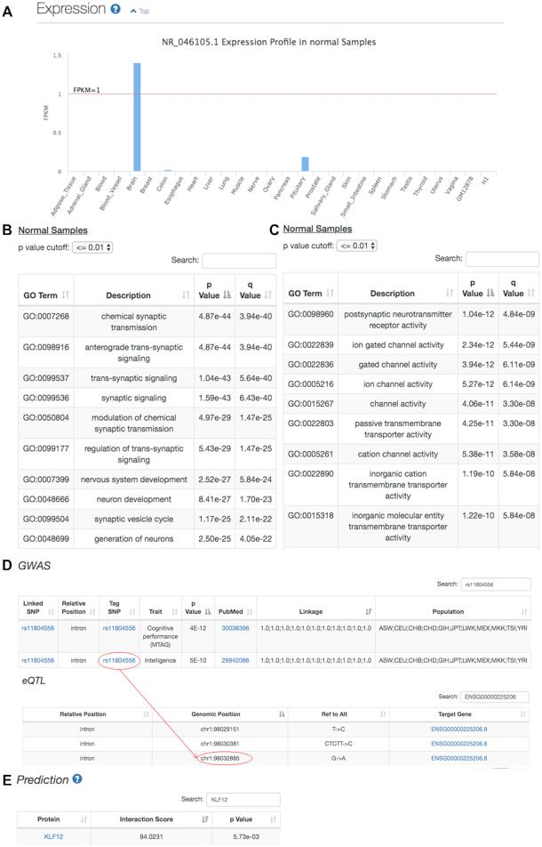 https://cdn.ncbi.nlm.nih.gov/pmc/blobs/3343/7319567/a354a7cfca21/gkaa368fig3.jpg