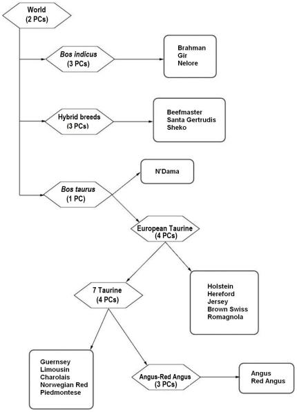 https://cdn.ncbi.nlm.nih.gov/pmc/blobs/3344/3072384/6608c7516555/pone.0018007.g001.jpg