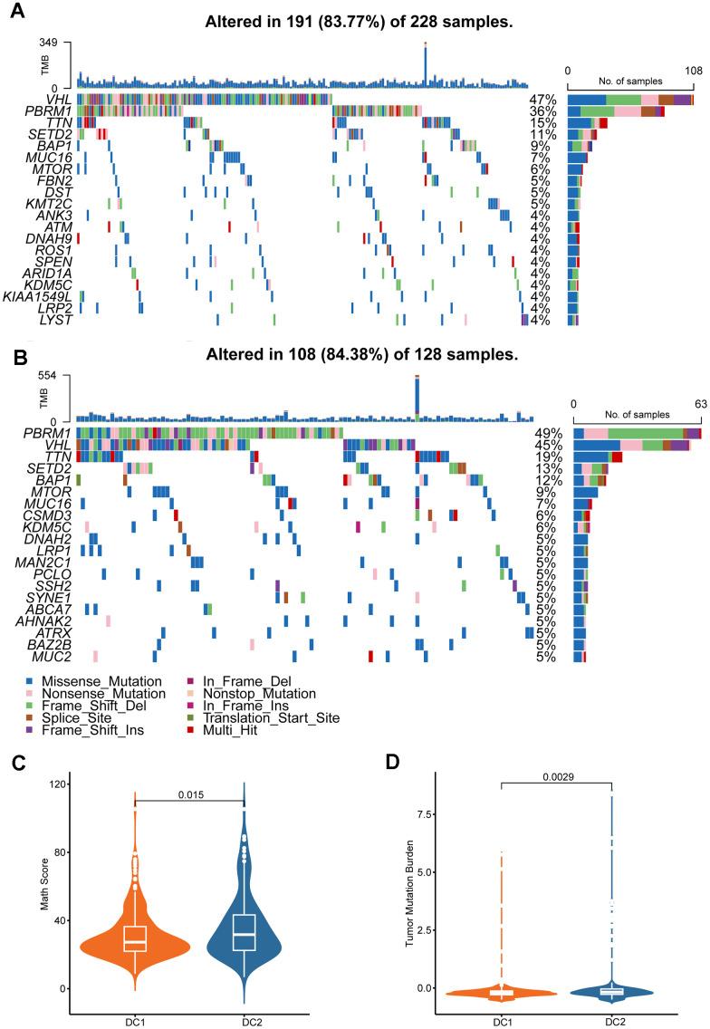 https://cdn.ncbi.nlm.nih.gov/pmc/blobs/3345/11210246/0143b038e187/aging-16-205916-g004.jpg