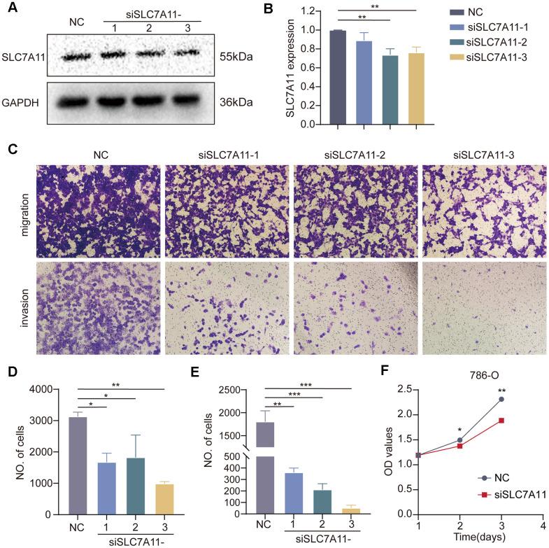 https://cdn.ncbi.nlm.nih.gov/pmc/blobs/3345/11210246/24b32330afb6/aging-16-205916-g013.jpg