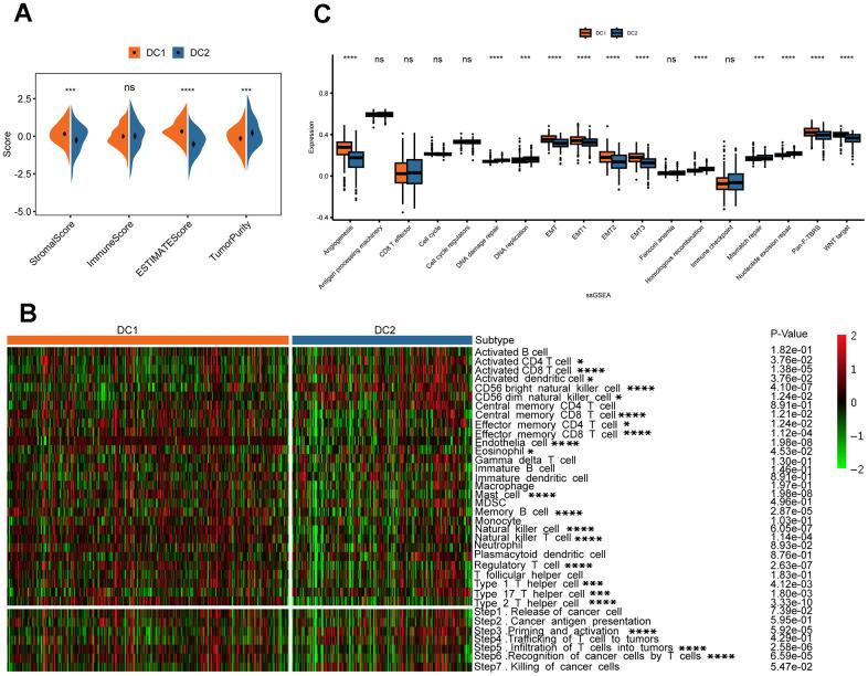 https://cdn.ncbi.nlm.nih.gov/pmc/blobs/3345/11210246/64ade7b2ad56/aging-16-205916-g005.jpg
