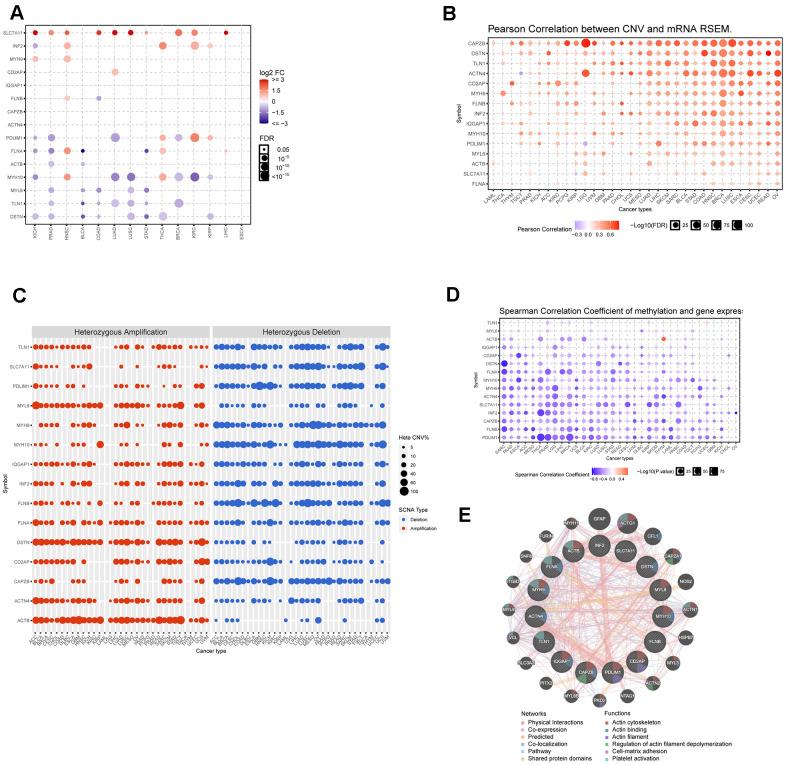 https://cdn.ncbi.nlm.nih.gov/pmc/blobs/3345/11210246/996a1247cb42/aging-16-205916-g001.jpg