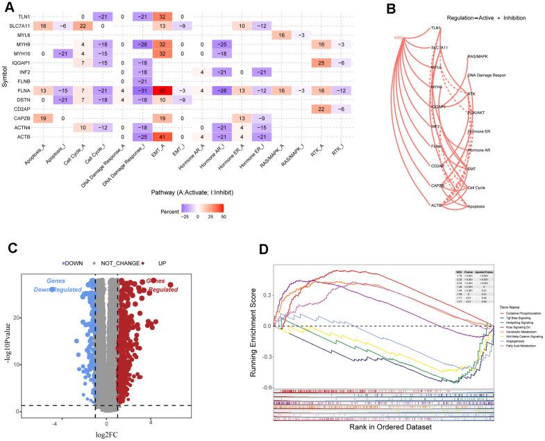 https://cdn.ncbi.nlm.nih.gov/pmc/blobs/3345/11210246/db4f3285ac9d/aging-16-205916-g003.jpg