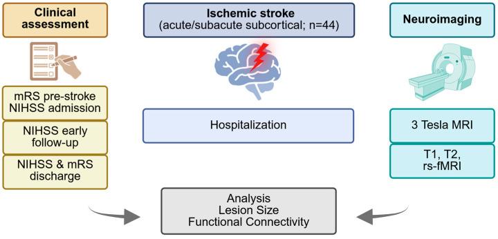 https://cdn.ncbi.nlm.nih.gov/pmc/blobs/3345/12293964/d4f6627d8206/brainsci-15-00735-g001.jpg