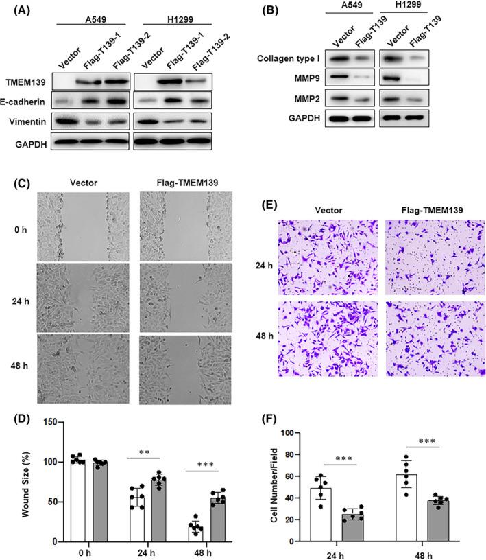 https://cdn.ncbi.nlm.nih.gov/pmc/blobs/3346/9207374/018b1acfda13/CAS-113-1999-g001.jpg