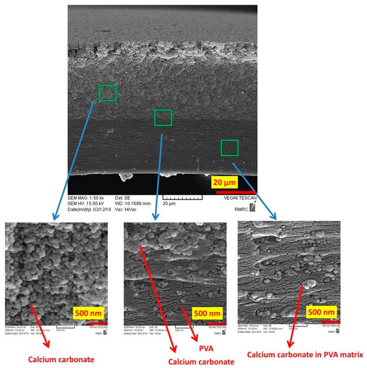 https://cdn.ncbi.nlm.nih.gov/pmc/blobs/3347/7598672/afe83f45630f/polymers-12-02179-g003.jpg