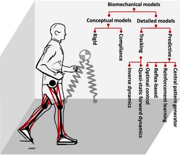 https://cdn.ncbi.nlm.nih.gov/pmc/blobs/3349/11761726/5385da693c74/12984_2025_1556_Fig2_HTML.jpg