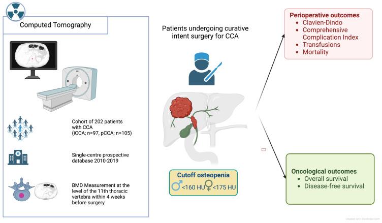 https://cdn.ncbi.nlm.nih.gov/pmc/blobs/3349/12248797/5650adeb3a40/cancers-17-02213-g001.jpg