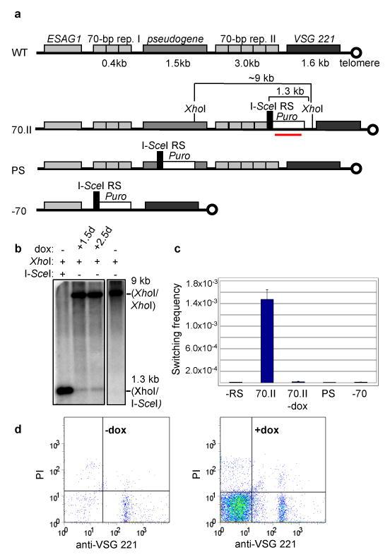 https://cdn.ncbi.nlm.nih.gov/pmc/blobs/3349/2688456/4f41d45c1776/nihms102651f1.jpg