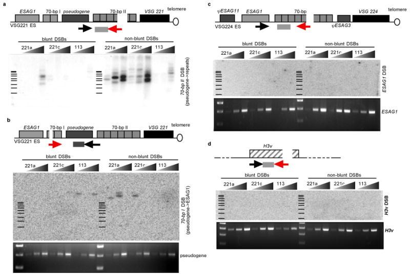 https://cdn.ncbi.nlm.nih.gov/pmc/blobs/3349/2688456/6cb1c235cc6b/nihms102651f4.jpg