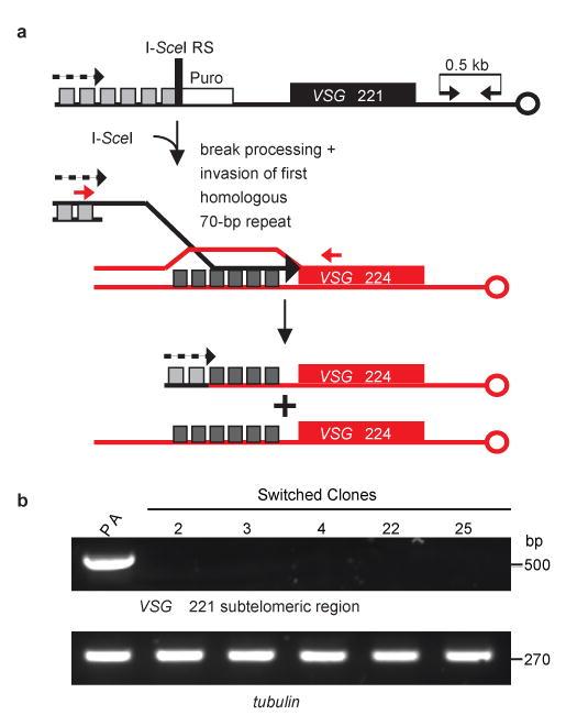 https://cdn.ncbi.nlm.nih.gov/pmc/blobs/3349/2688456/fec8ab75c9ba/nihms102651f3.jpg