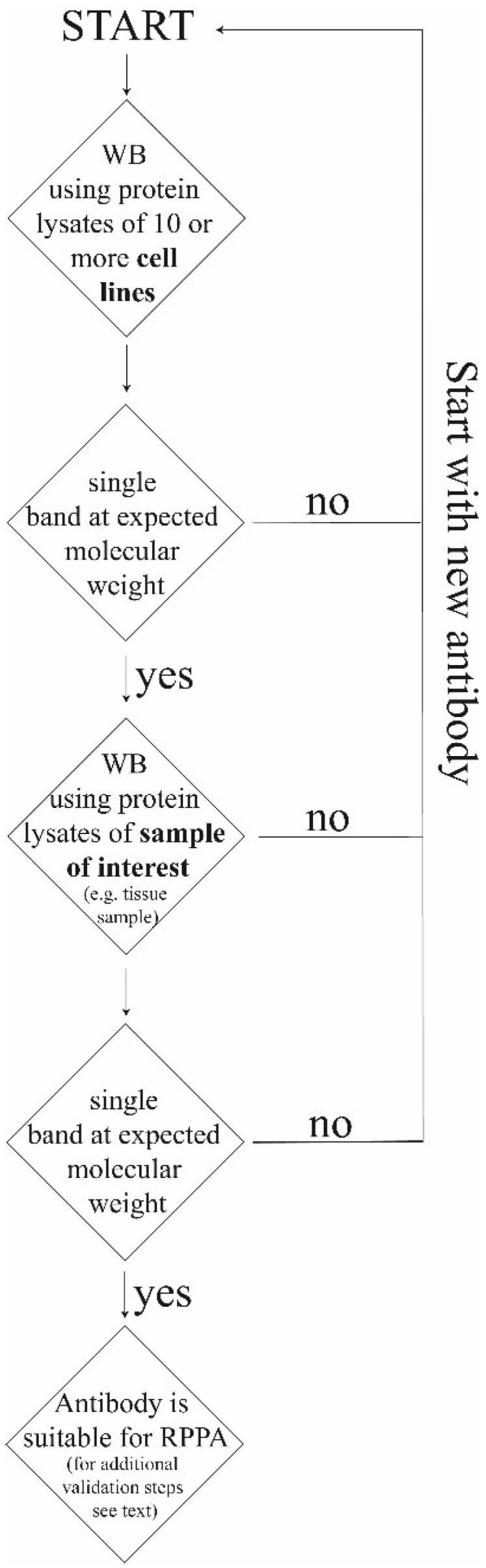 https://cdn.ncbi.nlm.nih.gov/pmc/blobs/3349/4996393/18116e5238df/microarrays-04-00098-g004.jpg