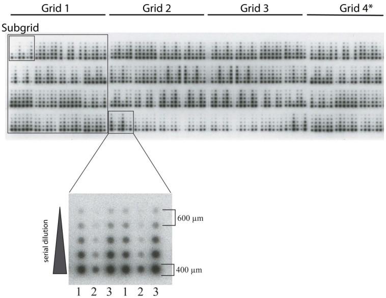 https://cdn.ncbi.nlm.nih.gov/pmc/blobs/3349/4996393/ce2870783f5b/microarrays-04-00098-g005.jpg