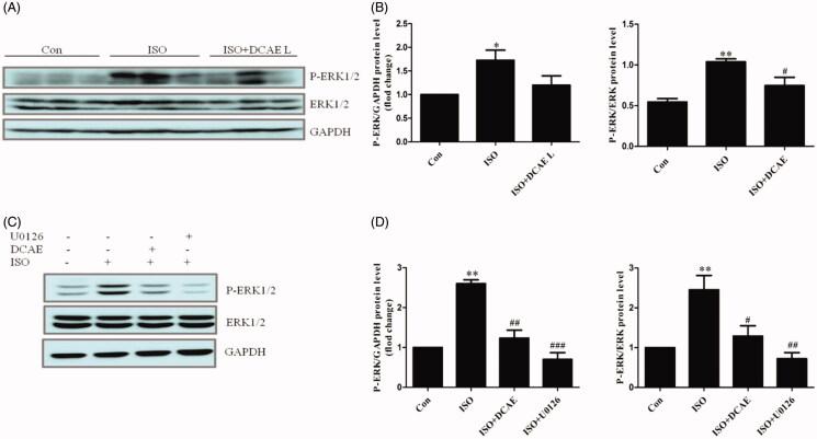 https://cdn.ncbi.nlm.nih.gov/pmc/blobs/334b/7048221/479b61729f56/IPHB_A_1723648_F0005_C.jpg