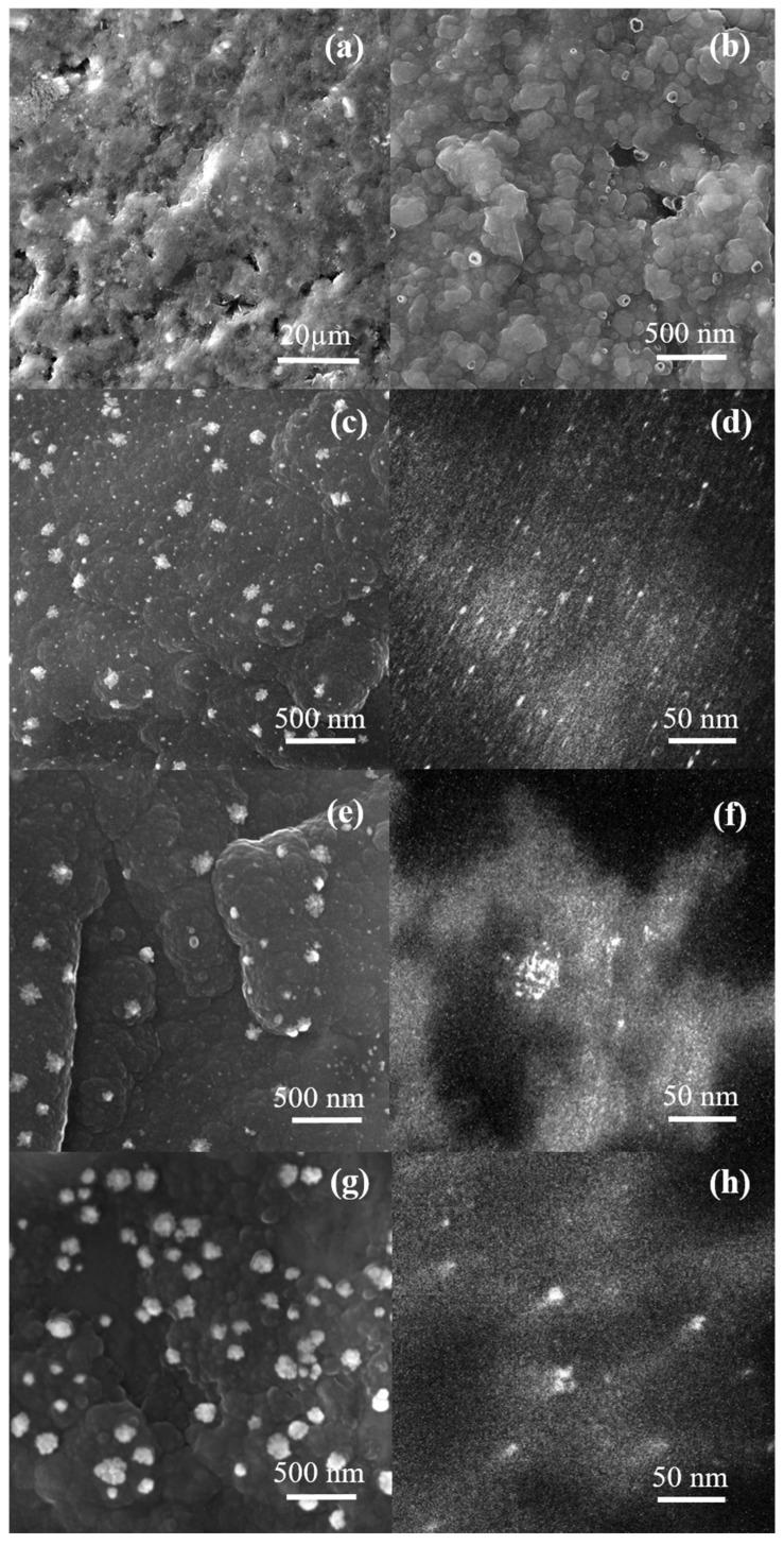 https://cdn.ncbi.nlm.nih.gov/pmc/blobs/334b/9504594/0d7c721d6d48/molecules-27-05776-g001.jpg