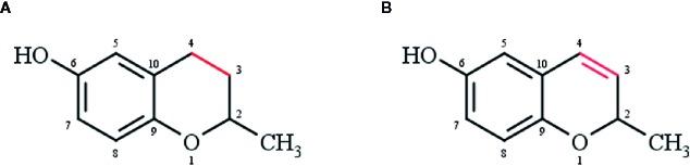 https://cdn.ncbi.nlm.nih.gov/pmc/blobs/334d/7187200/598001ceb0fb/fphar-11-00362-g001.jpg
