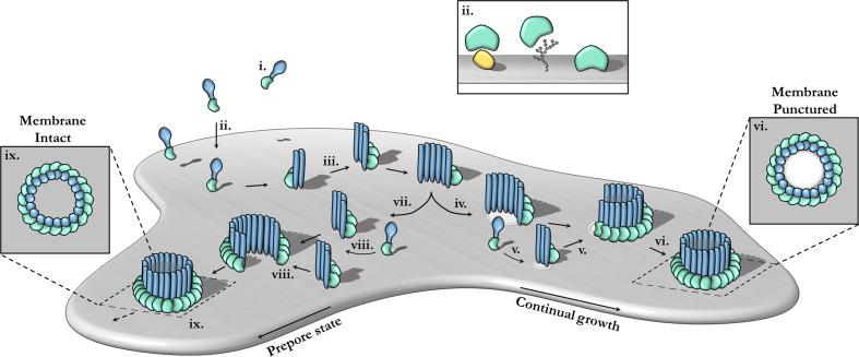 https://cdn.ncbi.nlm.nih.gov/pmc/blobs/334e/7593815/11aecfc1a2b2/fimmu-11-581906-g003.jpg