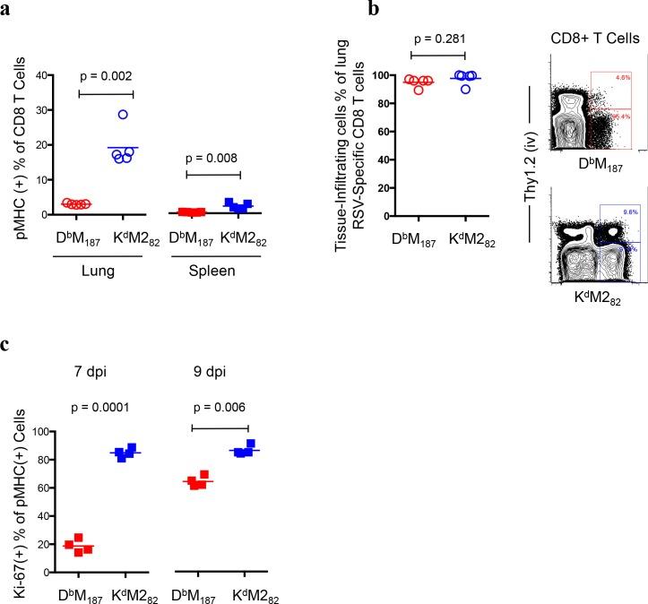 https://cdn.ncbi.nlm.nih.gov/pmc/blobs/3350/4778879/b873ec19418b/ppat.1005486.g001.jpg