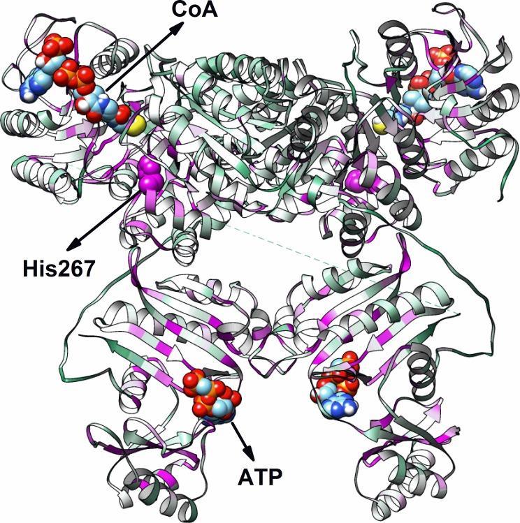 https://cdn.ncbi.nlm.nih.gov/pmc/blobs/3350/6388921/1129ad3e826c/pone.0212629.g004.jpg